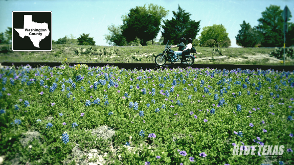 Washington County is not only the birthplace of Texas, but also an excellent wildflower roads destination.