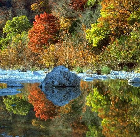 Bigtooth maples flash their color reflected in the Sabinal River at Lost Maples State Natural Area. © Texas Parks and Wildlife Department