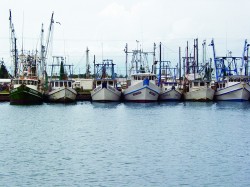 Palacios-Shrimpboats
