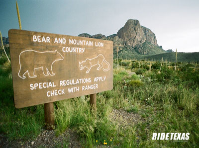 The Chisos Basin is bear and mountain country. Seriously.