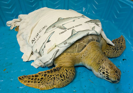 Photo by Earl Nottingham © Texas Parks and Wildlife Dept.